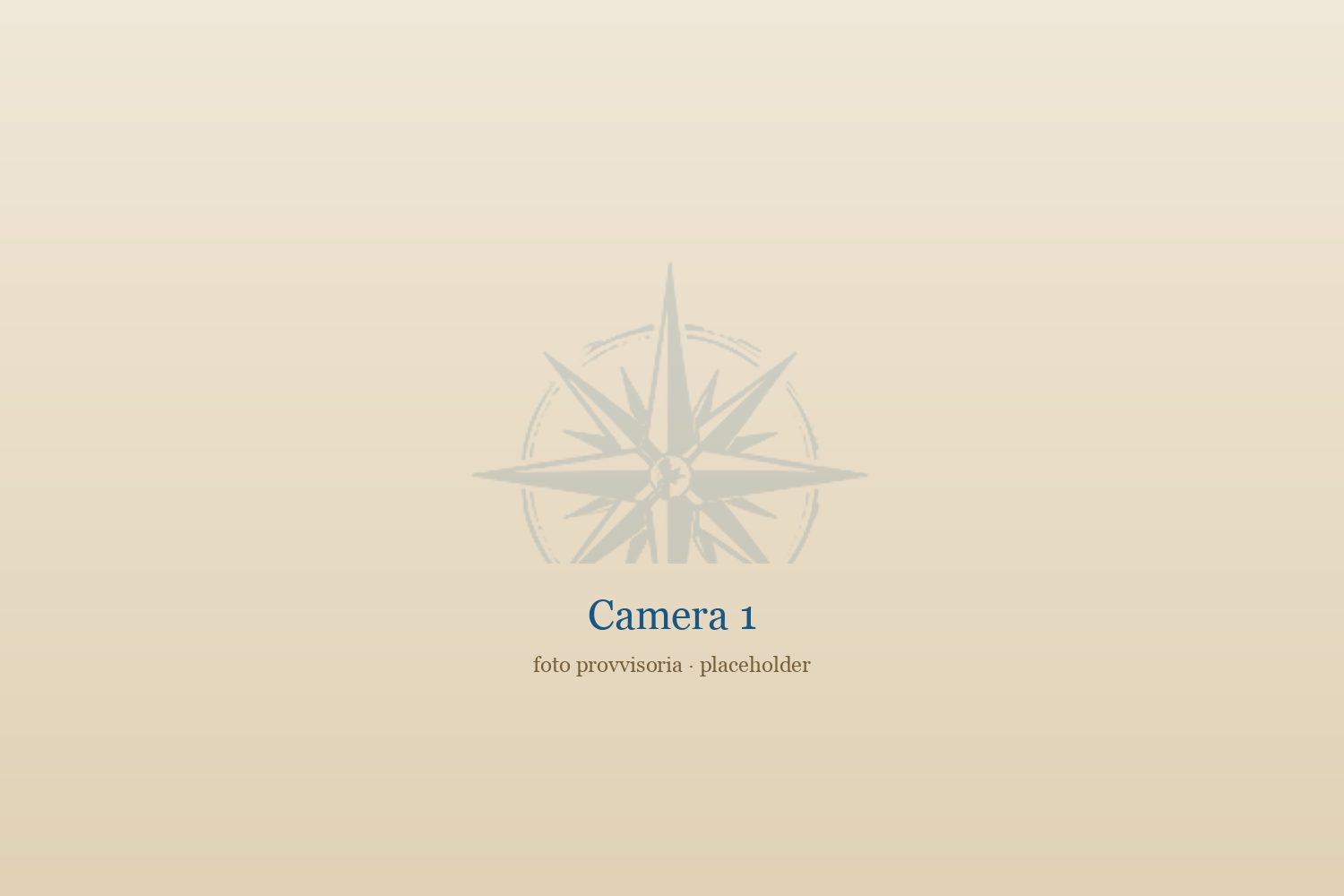 Camera 1